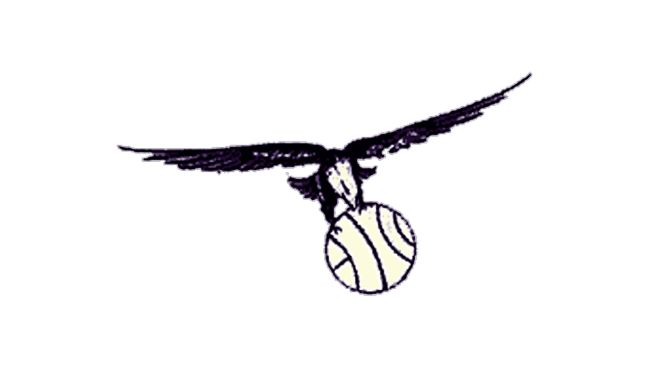 St. Louis Hawks Logo 1955-1957