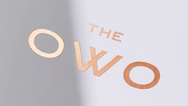 Logo della The OWO