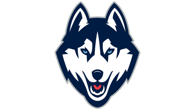 UConn Huskies Logo 2013-oggi